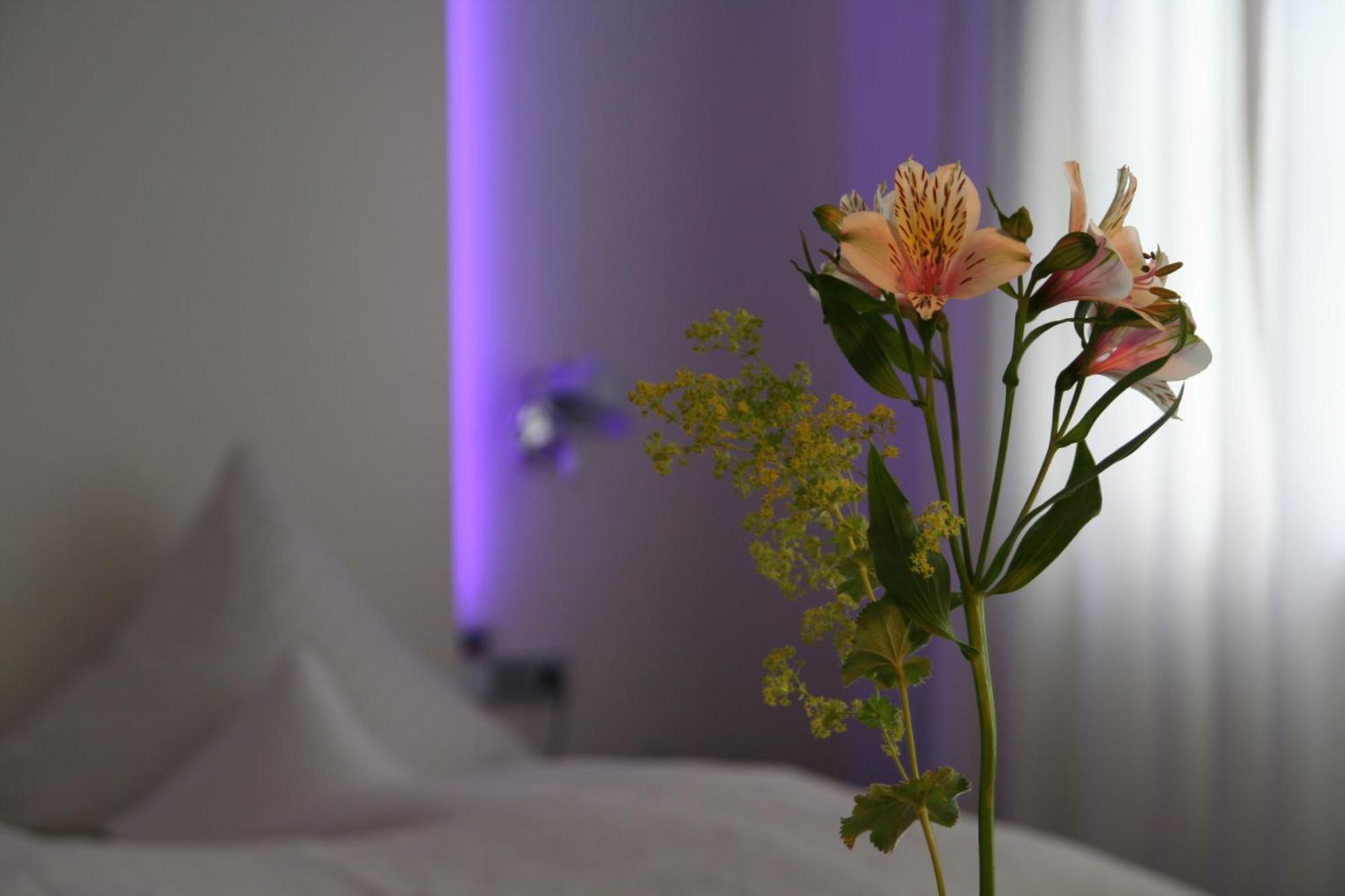 Hotel Am Main Veitshochheim Room photo